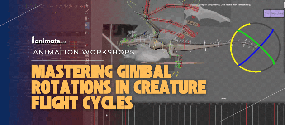 Gimbal Rotations